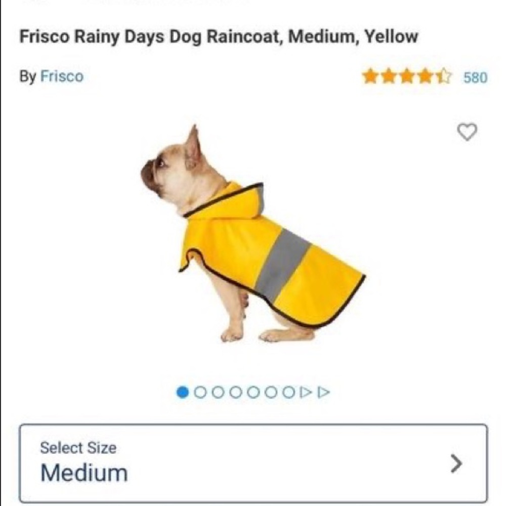 Dog raincoat